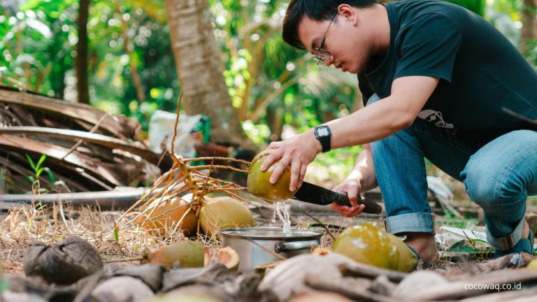apa manfaat air kelapa