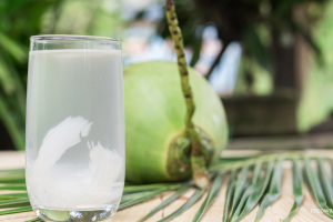 Manfaat Kelapa Ijo: Segudang Khasiat Kesehatan, Kelezatan Kuliner, dan Potensi Bisnis