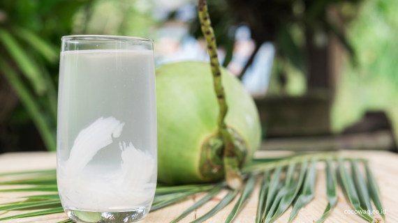 Manfaat Kelapa Ijo: Segudang Khasiat Kesehatan, Kelezatan Kuliner, dan Potensi Bisnis
